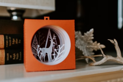白色和橙色鹿盒圣诞装饰
